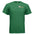 ANTIQUE IRISH GREEN - FRONT
